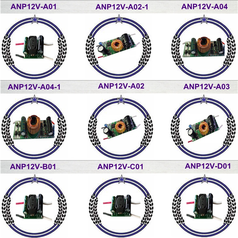 2015 Step-up LED Driver with AC/DC12-24V 900mA Constant Current (ANP12V-A03)