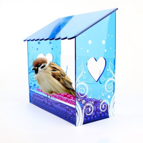 Bule Acrylic Bird House Hanging Wall with Print