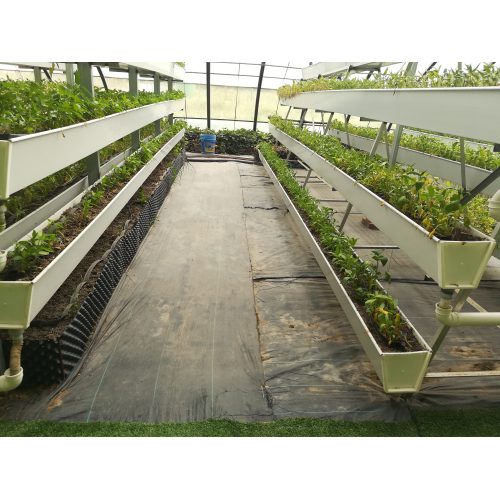 A-Type Stereo Cultivation Rack