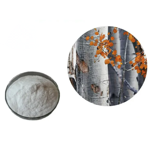Birch Bark Extract Betulin powder 50% 98% Betulin