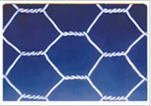 hexagonal wire netting