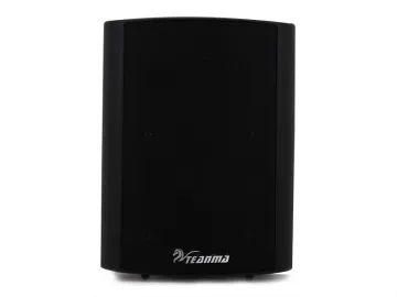 Teanma 40W professional manufacture subwoofer mini digital sound speakers TM313