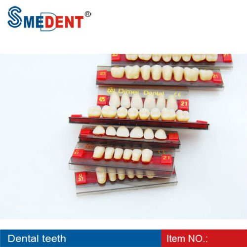 Denture Acrylic Resin Teeth/acrylic Teeth Shades, High Quality Denture