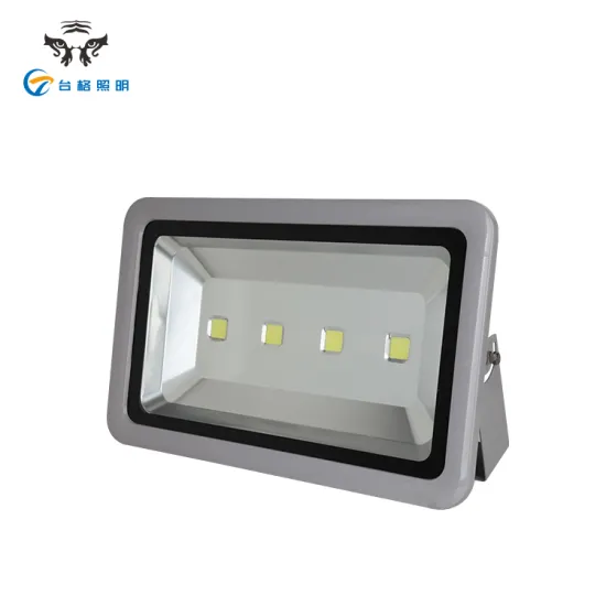 Warm White Outdoor 30w COB Led Flood Light