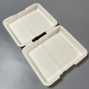 Biodegradable bagasse pulp molded box for clothes packaging