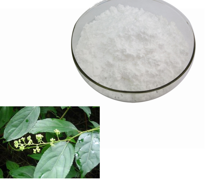  Fish bone collagen peptide powder