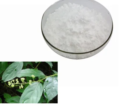 Stevia rebaudiana sweeteners stevioside extract