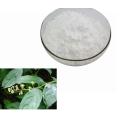 Tripterygium Wilfordii Root Extracts Powder triptolide