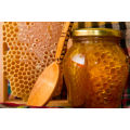 蜂の巣の蜂蜜の櫛 100% 天然