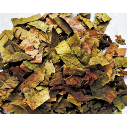 High-Quality Persimmon Leaf Extract for Herbal Remedies and Supplements