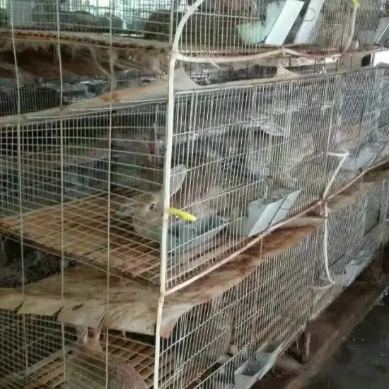 industrial breeding rabbit cage (anping factory)3 or 4 layer