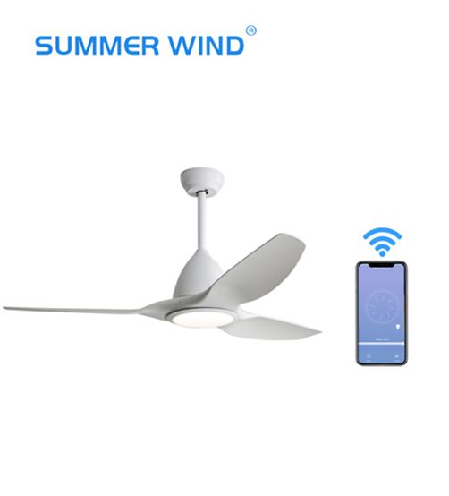 Support Timing Energy Saving Abs Ceiling Fan