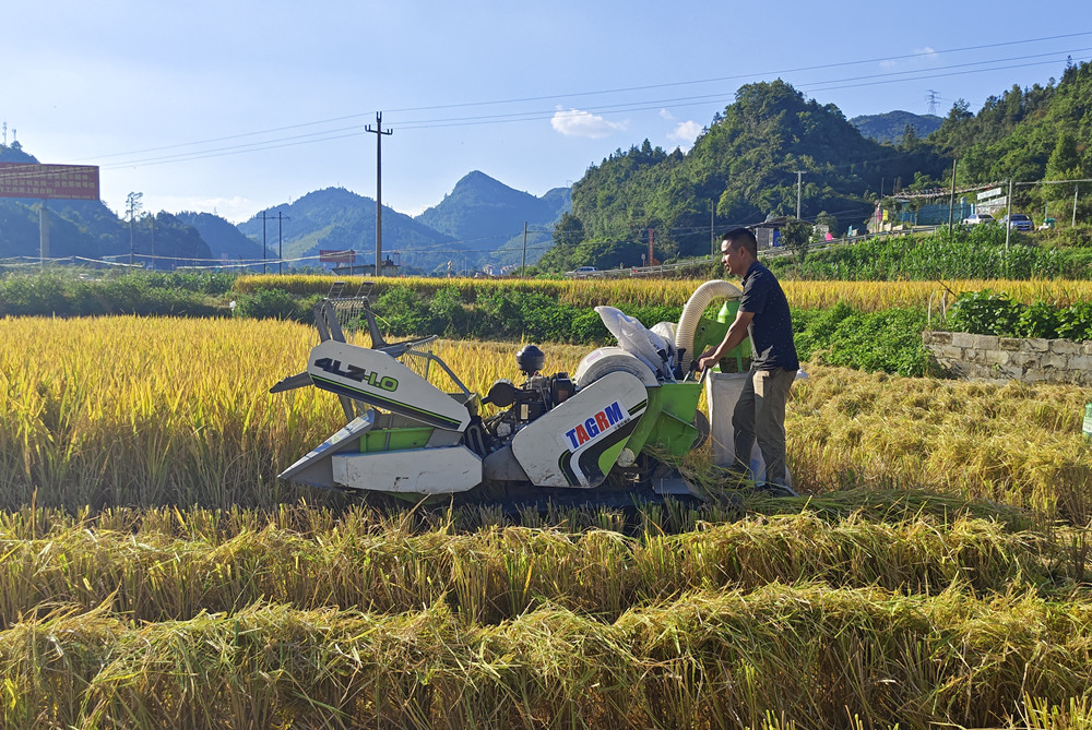 Small rice harvester