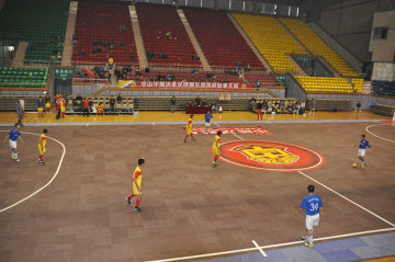 Mulit-function Waterproof Anti-slip Outdoor / Indoor Futsal Football Sport Court Flooring