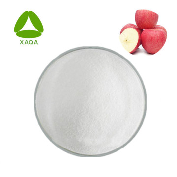 Apple Bark Extract Phlorizin Powder 98%