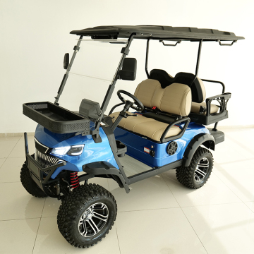 Hot Sale 2 Seater Electric Golf Cart for Scenic Spots