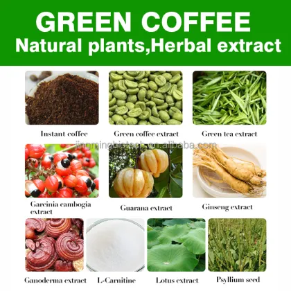 OEM Private Label Natural Slimming Weight Loss Instant Green Coffee - Wholesale