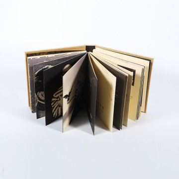 Printed cardboard display book racks