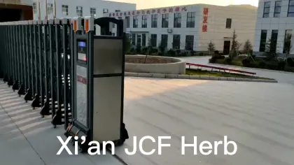 Honey Freeze-dried Powder Honey Bee Extract Powder