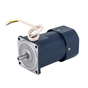 Fast Delivery AC Gear Industrial Electric Motor 60mm 6W