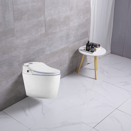 Toilette alta con bidet incorporato ad alta tecnologia Closestool Intelligent Smart Wilet