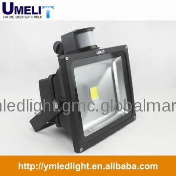 flood light dvr
