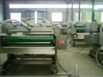 Continuous Vacuum Packaging Machine