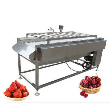 Aquatic Washing Machine Brush Type Fruit Vegetable Cleaner Machine