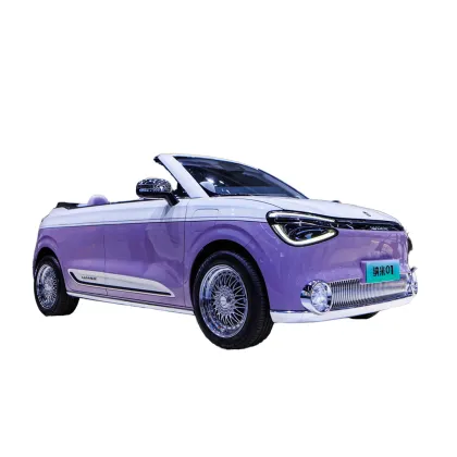 2024 Dong Feng Nano Nammi 01: Chinese New Energy Mini SUV Electric Car