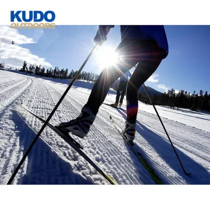 Popular Heated Aluminum Ski Poles Manufacturers