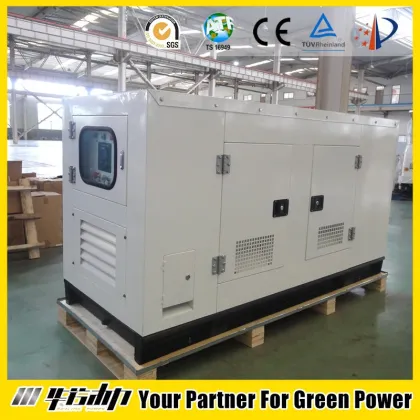 Weather protectiv home generator diesel