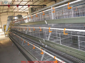 Bird cages sale