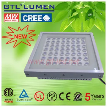 shocking price LED petrol  station light with  ETL CE ROHS  5 years