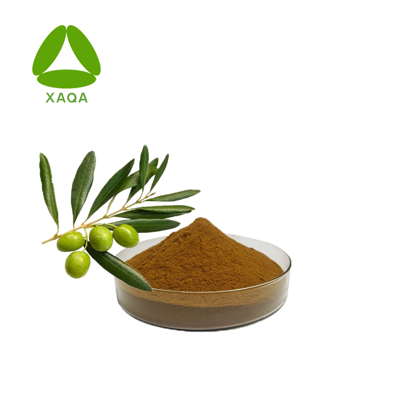 Olive leaf Extract Hydroxytyrosol Powder 10% HPLC