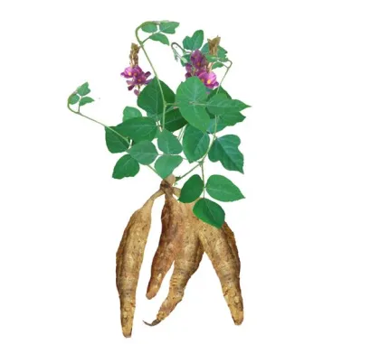 Nature Kudzu root extract