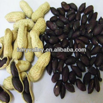 High Yield Heirloom Red/Pink/Colorful/White/Black Peanut Seeds For Planting
