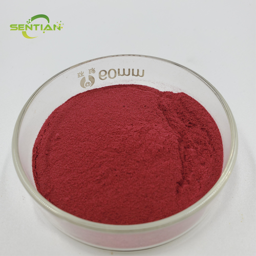 High-quality food-grade red beet powder