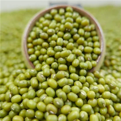 High Purity 2016 Crop Mung Bean Green Bean