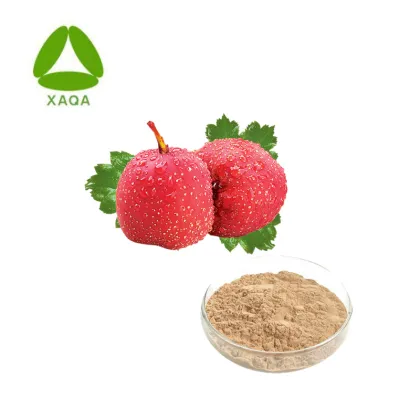 Hawthorn Fruit Extract Hawthorn Fruit Powder