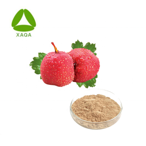 Hawthorn Fruit Extract Hawthorn Fruit Powder