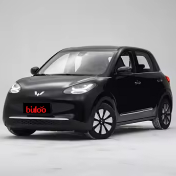 2024 WULING Bingo: 4-Wheel New Energy 4-Door 4-Seater Mini Electric Car from China