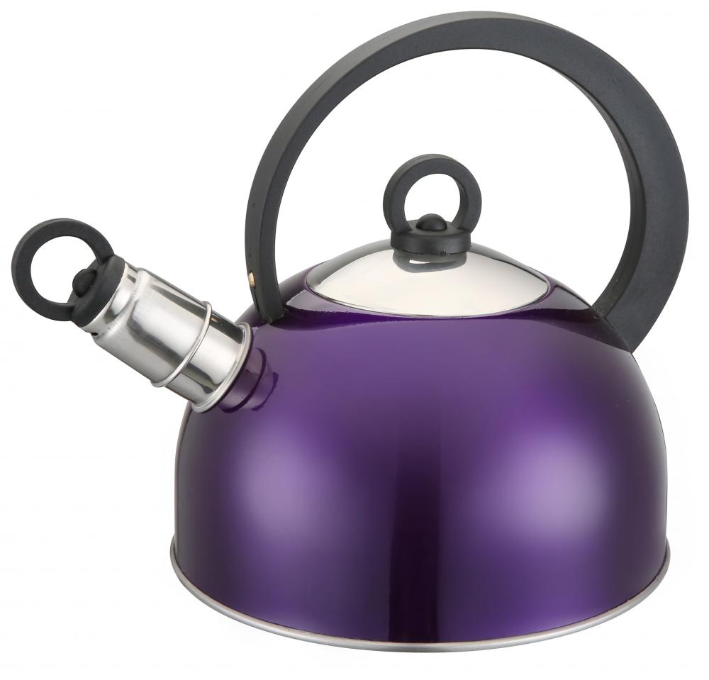 Painitng Purpal Whistling Kettle
