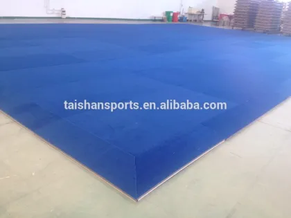 Professional Wushu taolu/kungfu field