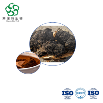 Wholesale Inonotus Obliquus Polysaccharides 30%-50% for Nutraceutical Use