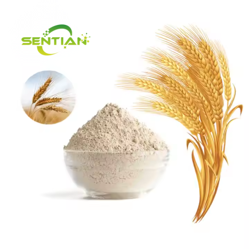 Pure high protein Wheat flour hydrolyzed Wheat protein