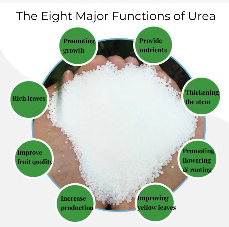 UREA Functions