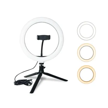 10 Inch Portable Beauty Ring Light for Streaming and Makeup with Tripod and Phone Holder