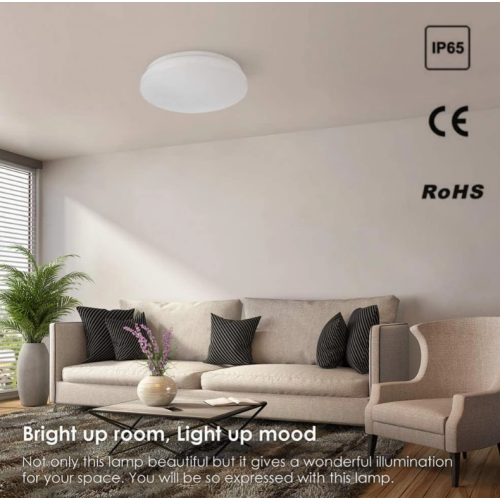 Luce del soffitto a LED di emergenza antincendio classica