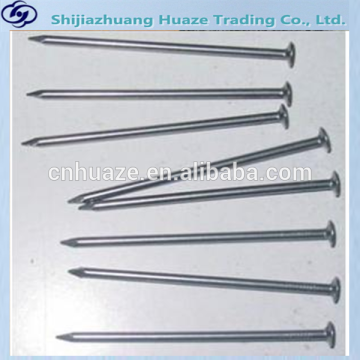 1"-6" Polished Common Nail/Common Round Wire Nail Price/Iron Nails