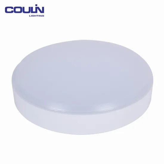 China Wholesale Customize Led Celling Light